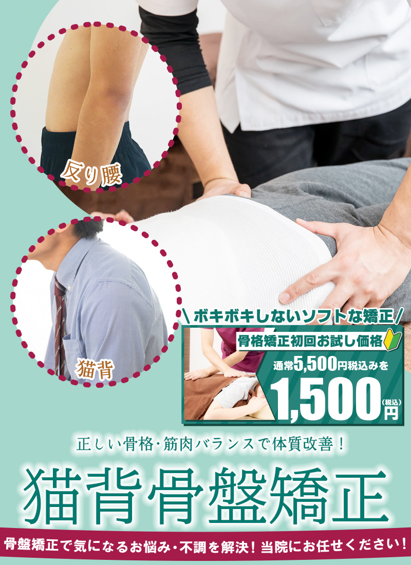 猫背骨盤矯正サクラ整骨院